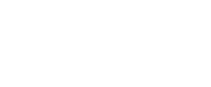 Meet the Team